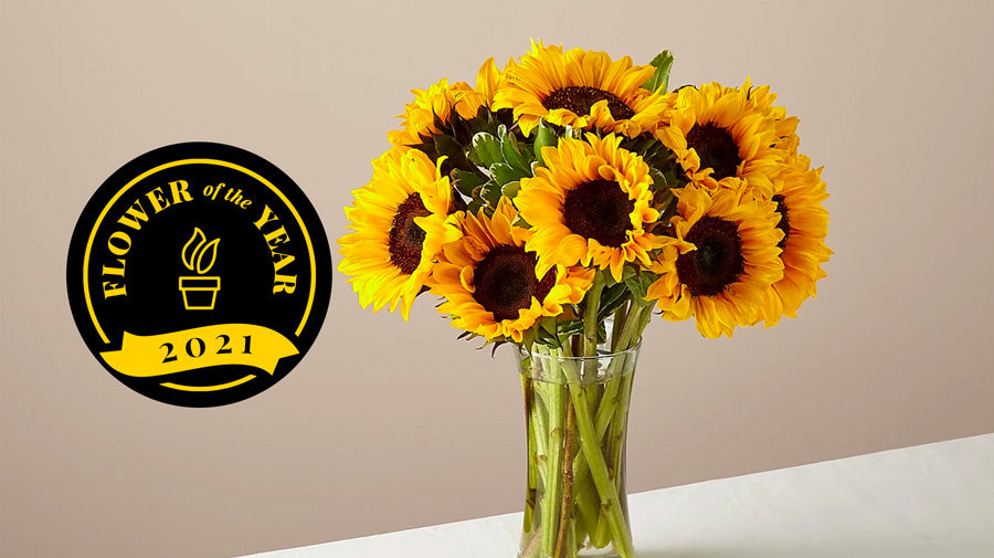 5 interesting Facts About Sunflowers - Purpink