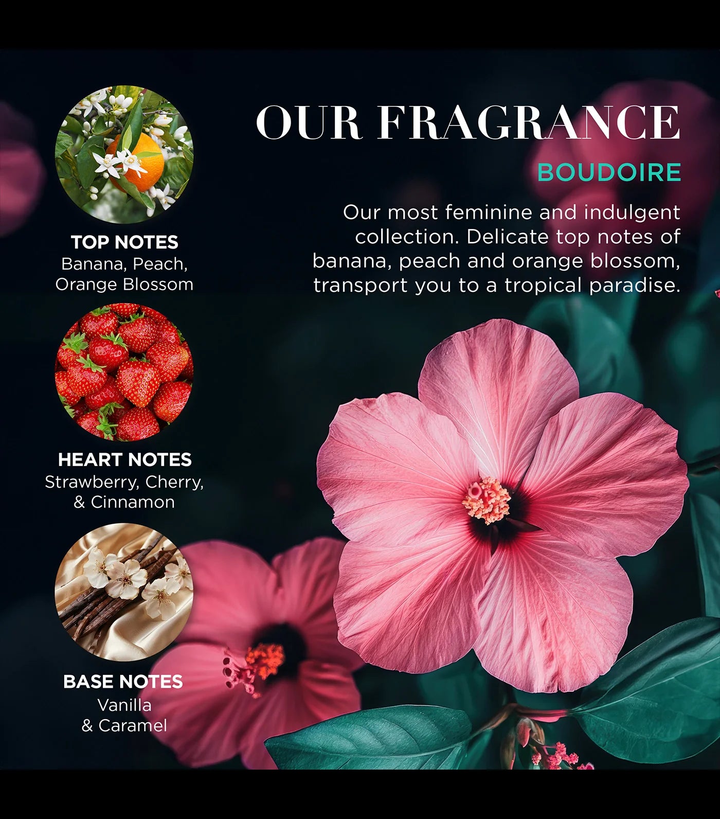 Baylis & Harding Boudoire Luxury Pamper Tin Gift Set