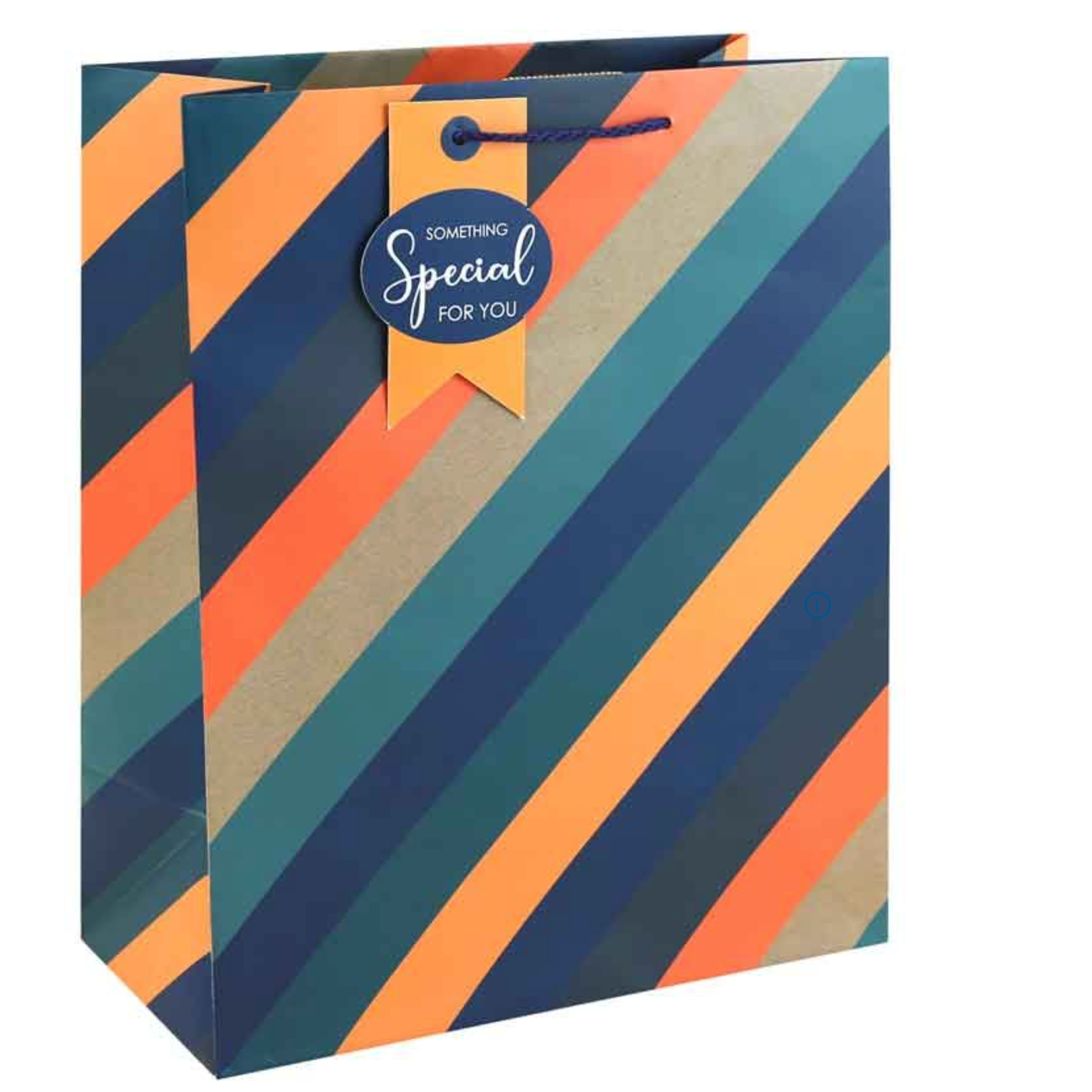 Stripe Gift Bag – Medium & Large Stylish Gift Bag