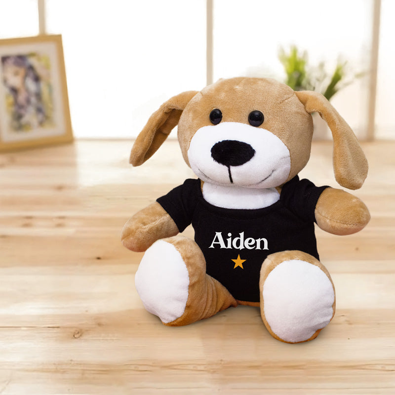 Plush Toy Teddy Bear - Black