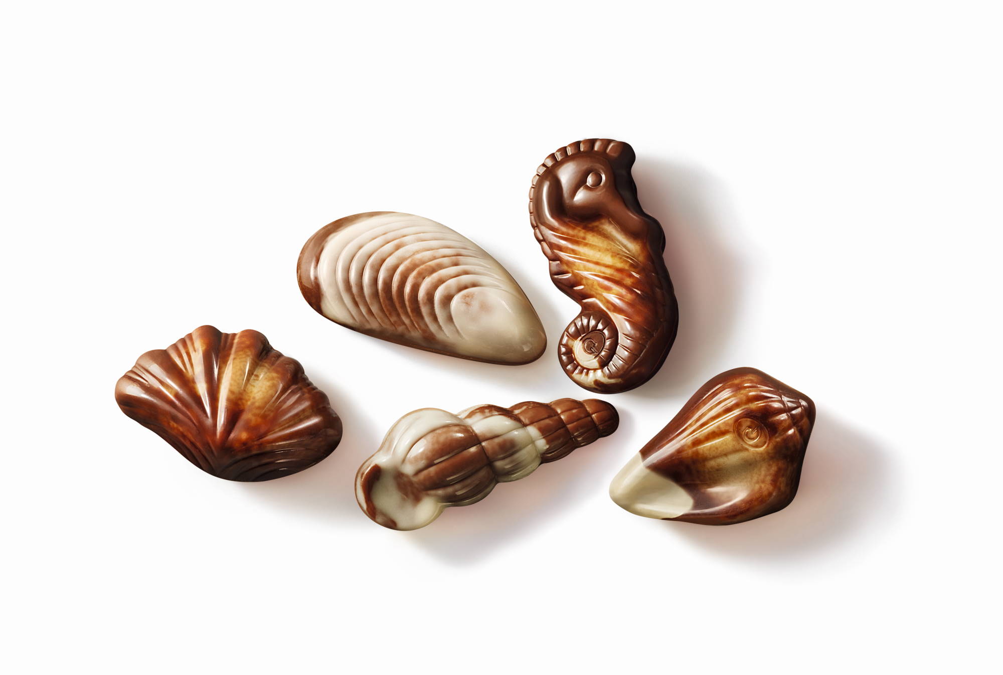 Guylian praline seashells 6 piece box 65g