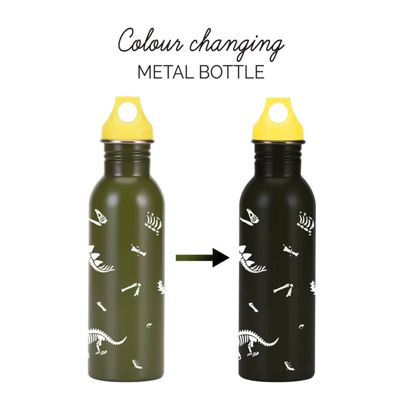 Color Changing Drink Flask – Stainless Steel