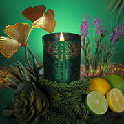 Candlemeleon Miami Art Deco 200g