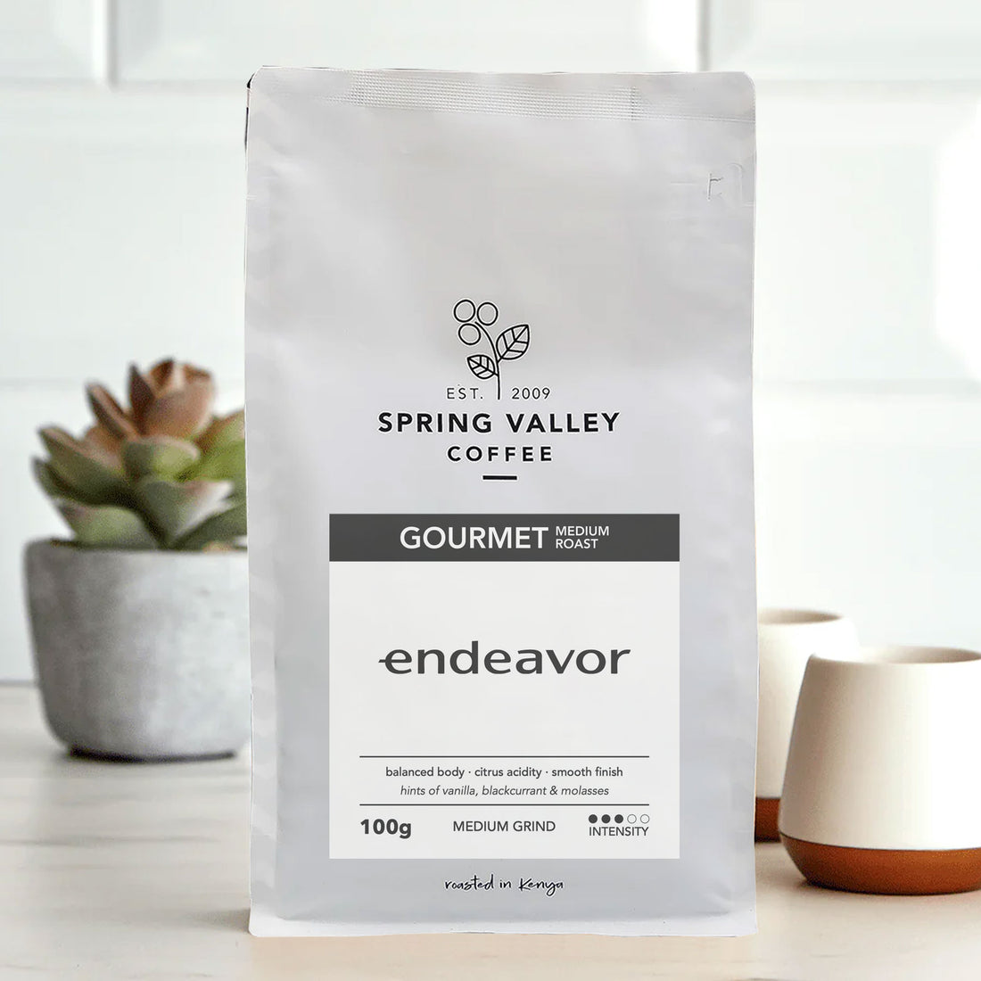 <strong>Spring Valley x Endeavor</strong>