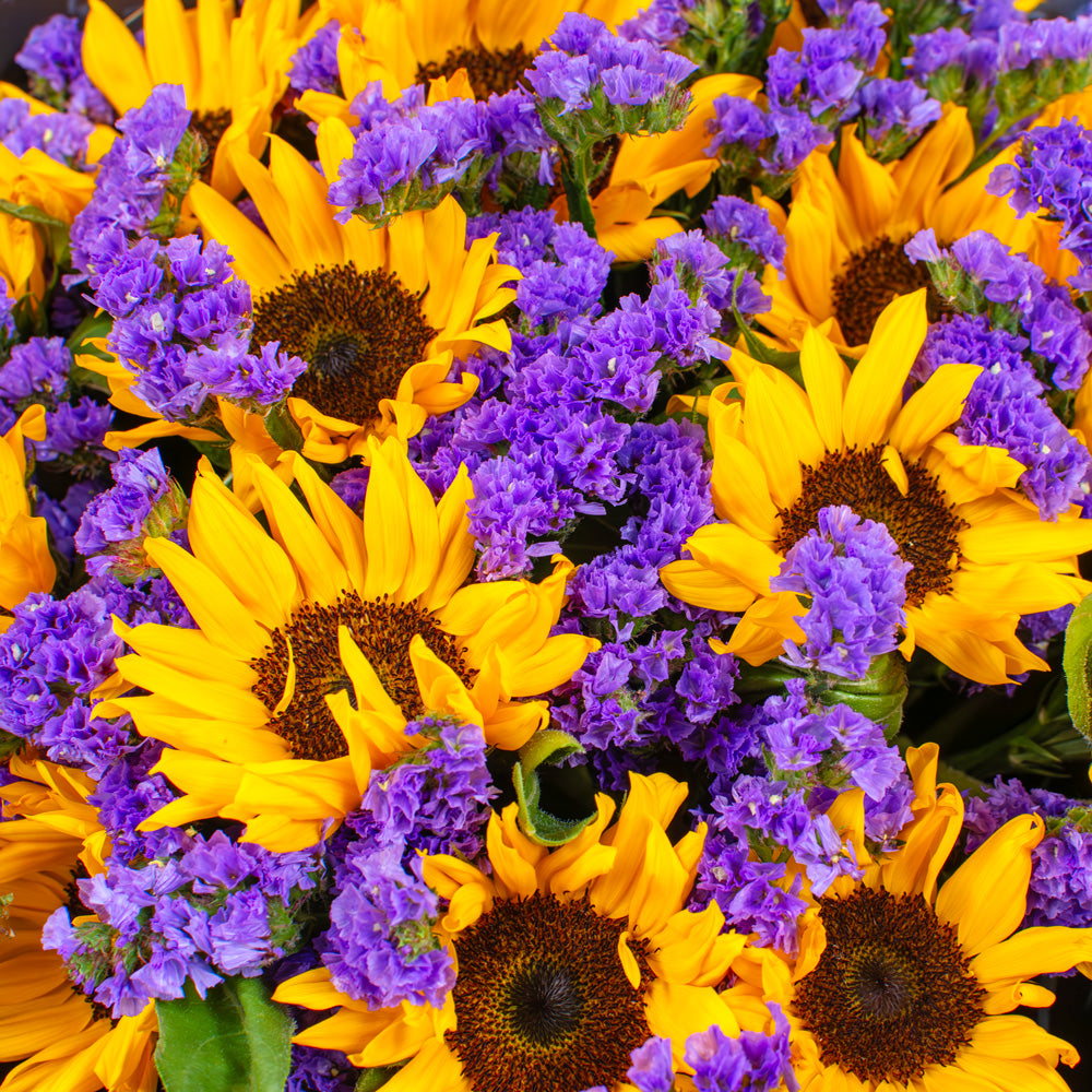The Sophia Sunflowers Bouquet
