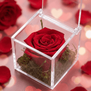 Velvety Forever Red Rose