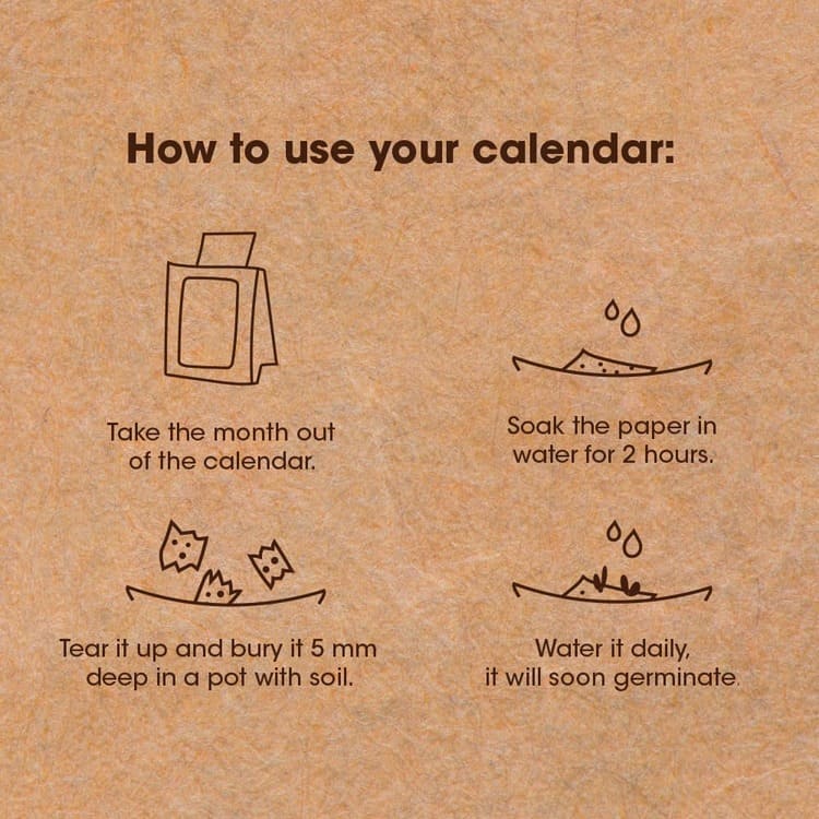 Plantable Calendar with 12 Sheets Seed Paper