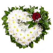White Mums & Ruscus Funeral Heart Flower Arrangement