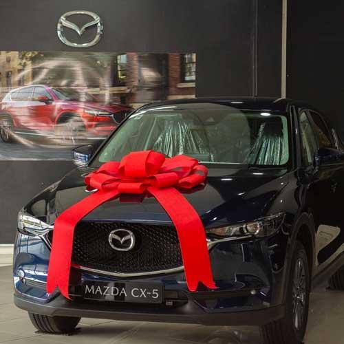 Large Bow Car Ribbon