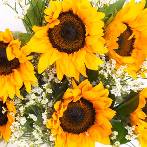 Honey Bunch Sunflower Bouquet