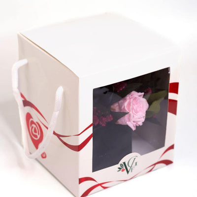 ForeverRoses™ Pink Blooms in a Box